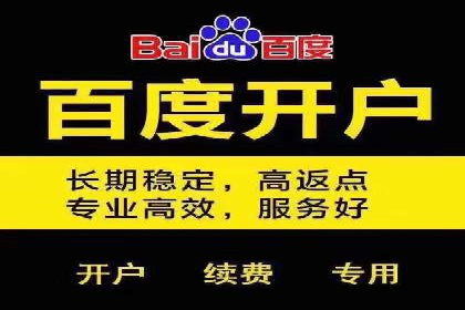 案例研究：SEM开户助力电商快速崛起
