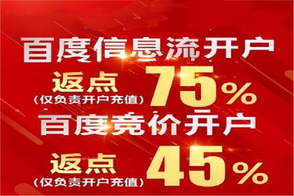 成功案例：网络推广与竞价广告的完美结合